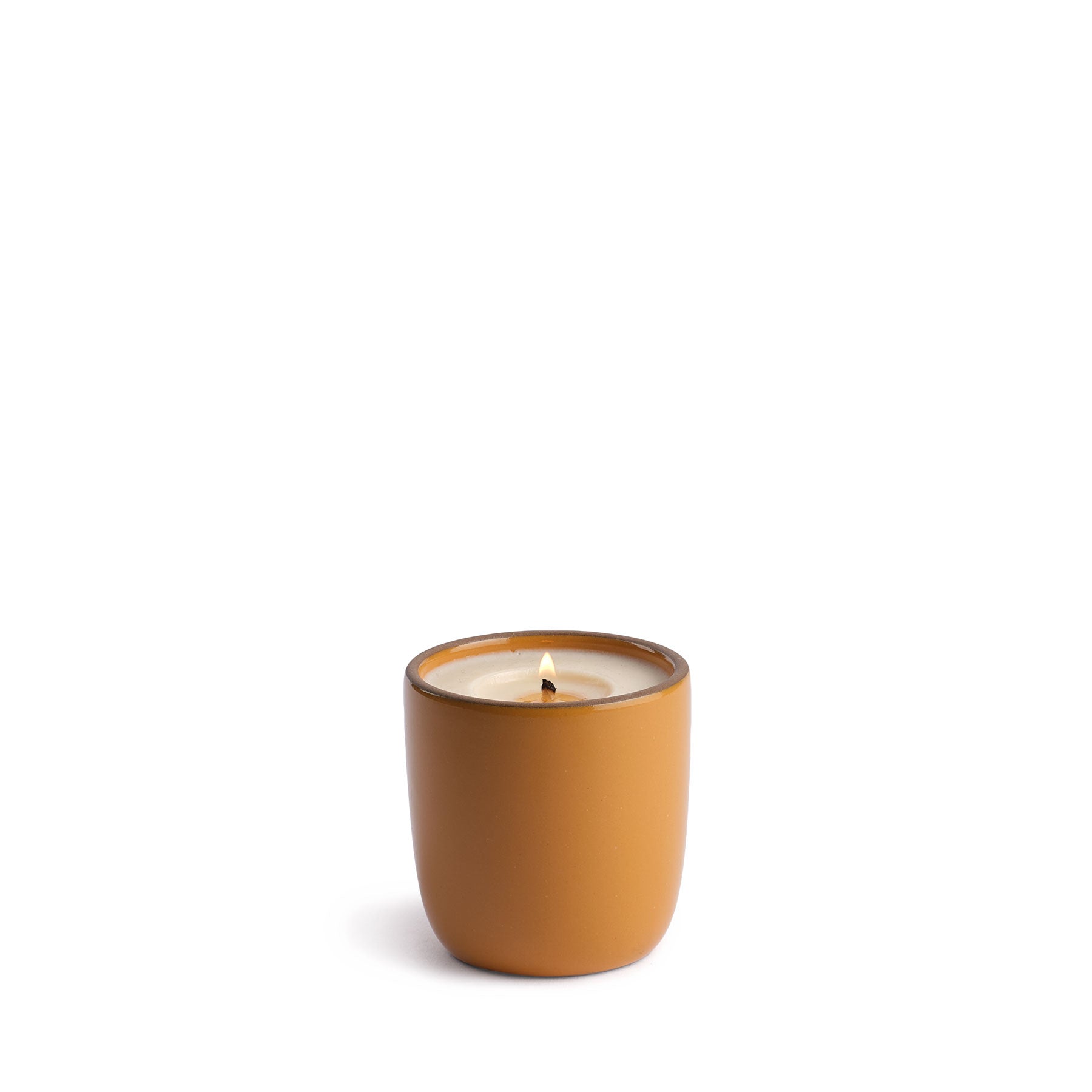 Pine and Cedarwood Candle in Butterscotch Cup Zoom Image 1