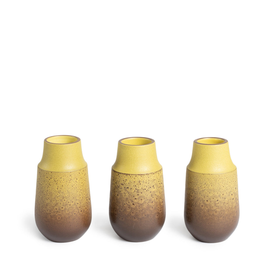 Neck Vase in Ochre and Matte Brown Image 2